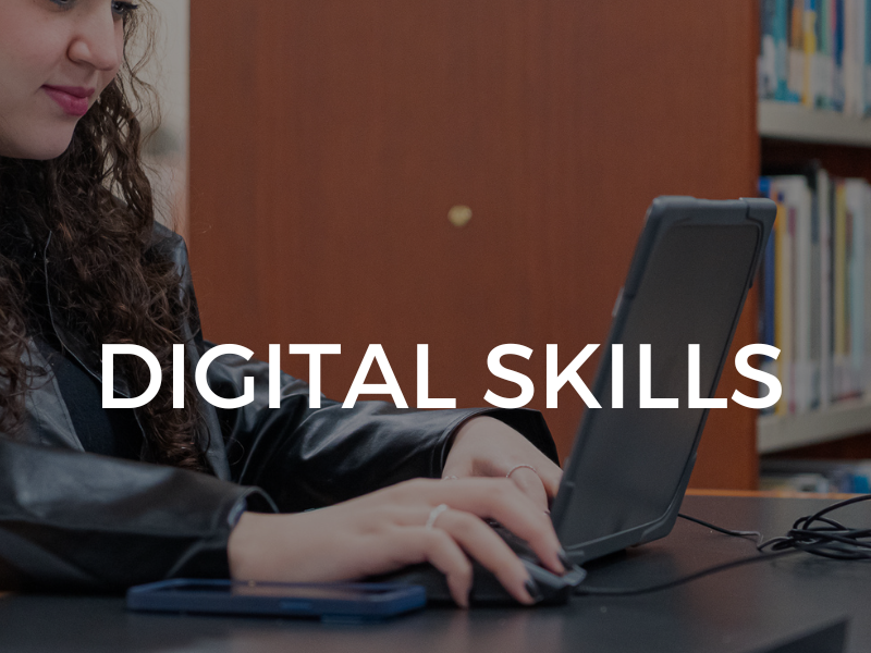 Digital skills