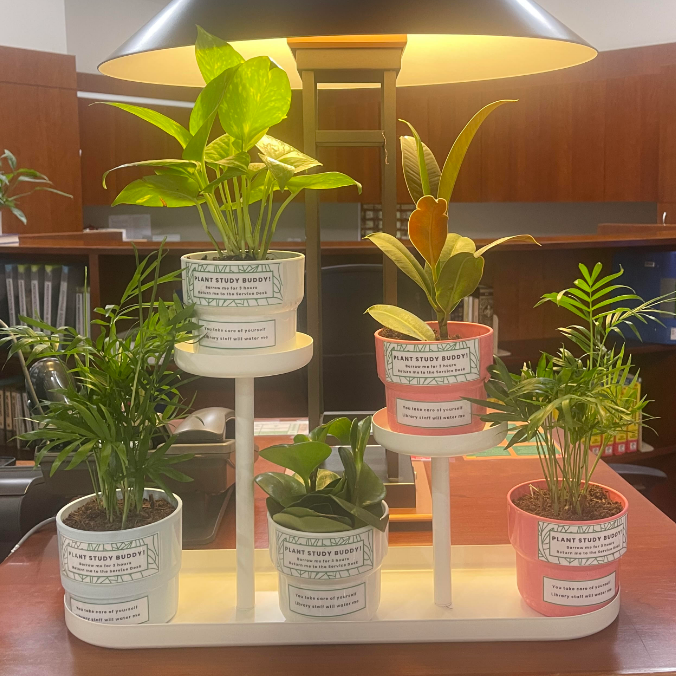 Library Plant Study Buddies